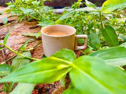 Samarth Atc-Beach Home Stay Ratnāgiri エクステリア 写真